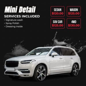 Mini Detail