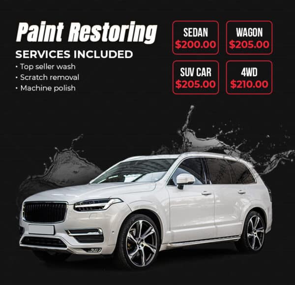 Paint Restoring
